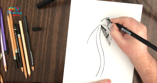 Wie man Palmblätter zeichnet