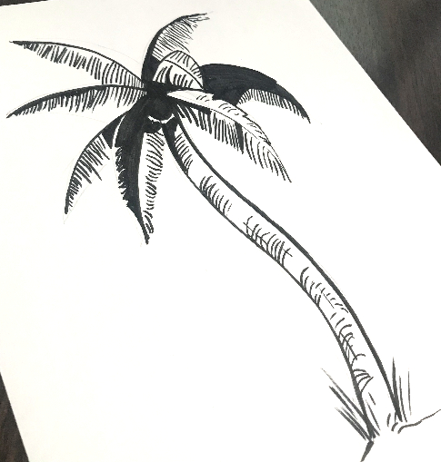 Palme-Zeichnung