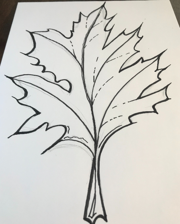 How to Draw a Leaf Easily