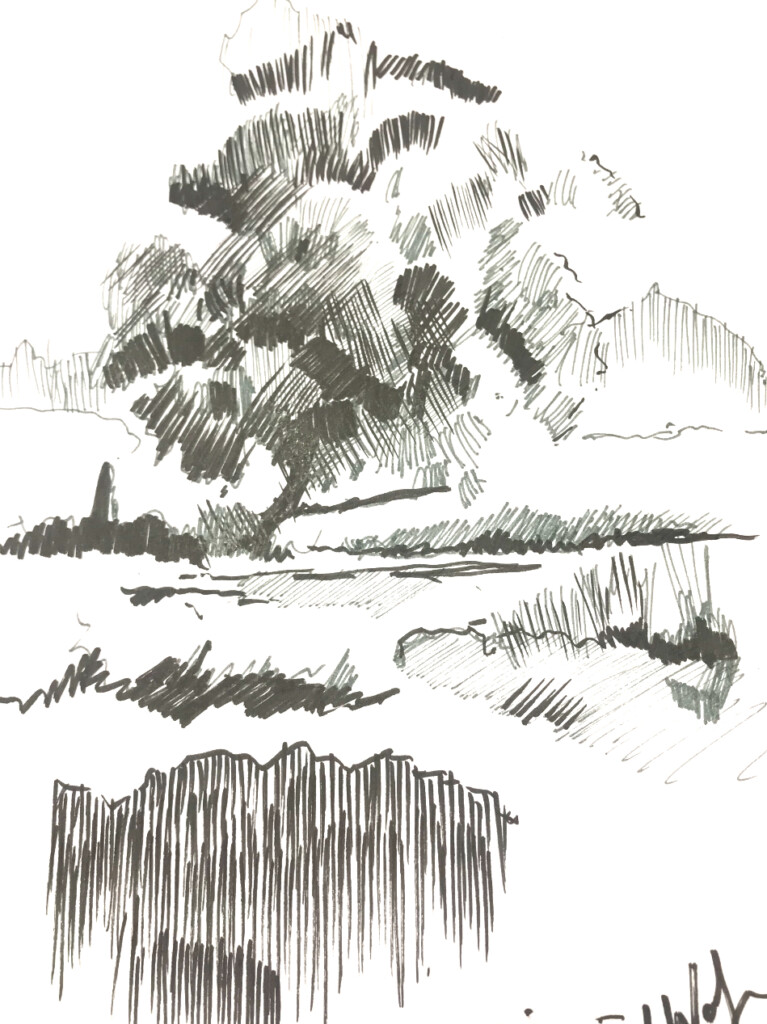 How to Draw Landscapes in Pen and Ink