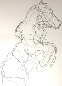 Introduction to Blind Contour Drawings