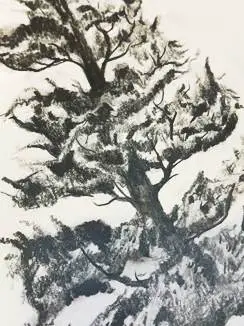 Wie man einen einfachen Baum zeichnet