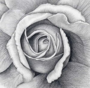 How To Draw A Flower In Charcoal